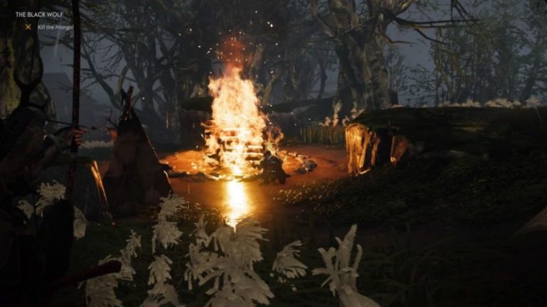 ghost of tsushima the black wolf