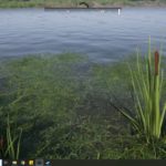 medieval dynasty how to get water
