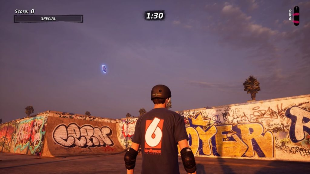 thps 1 + 2 - venice beach person location