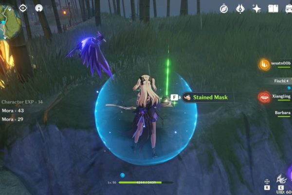 genshin impact how to make stained mask