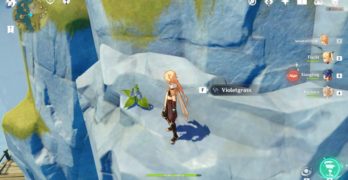 genshin impact how to find violet grass