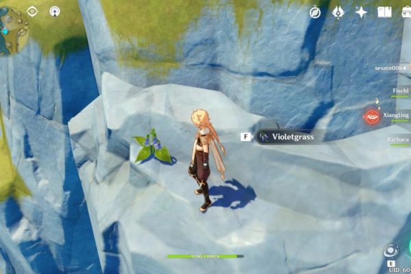 genshin impact how to find violet grass
