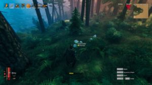 valheim how to plant seeds valheim how to plant seeds