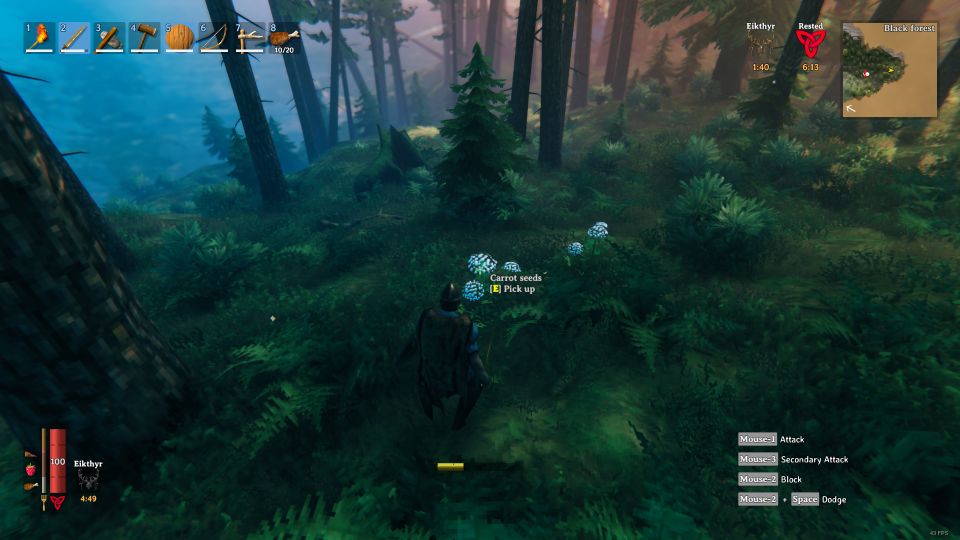 valheim carrot seeds