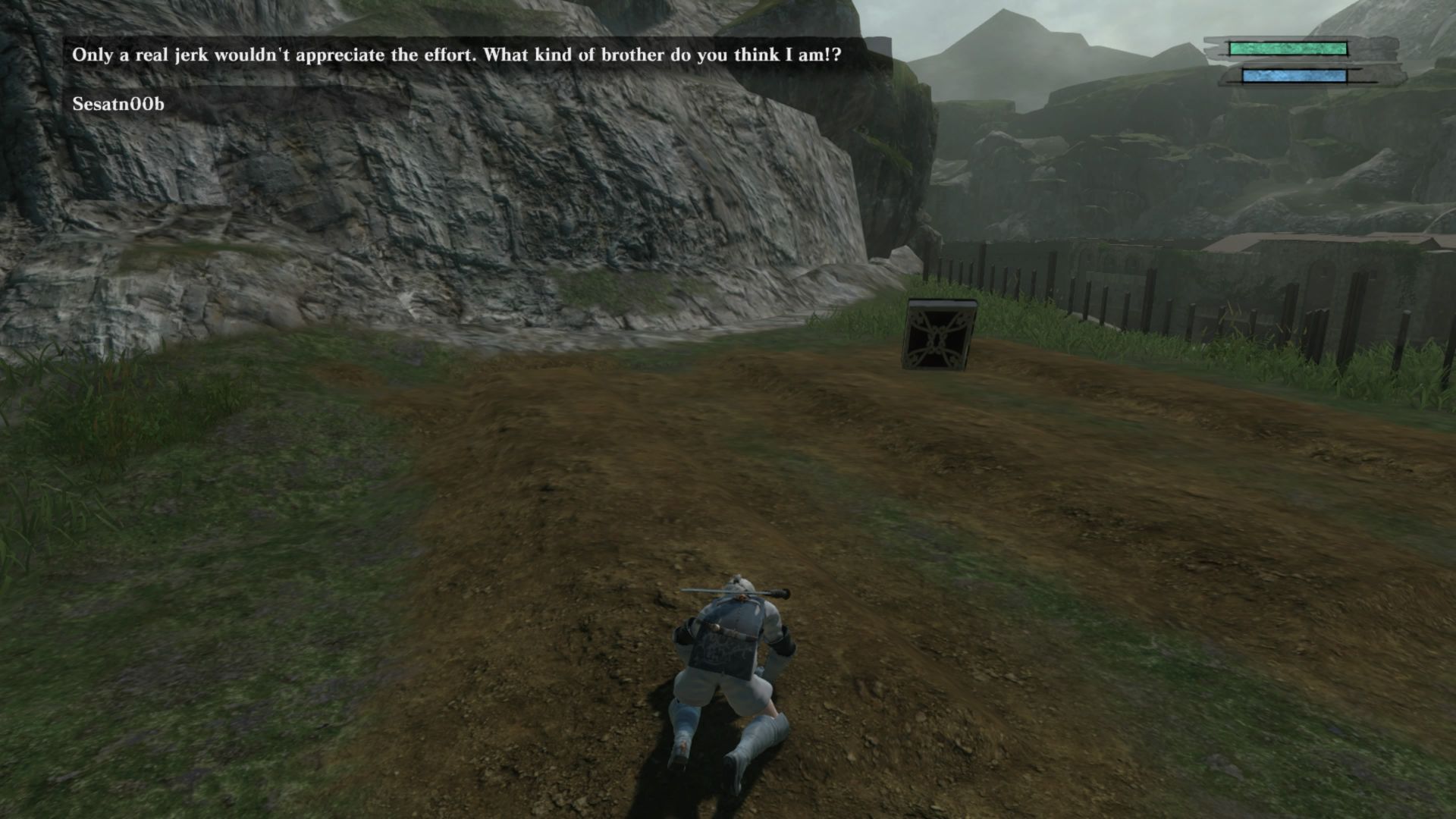 NieR Replicant How To Plant Seeds At The Backyard