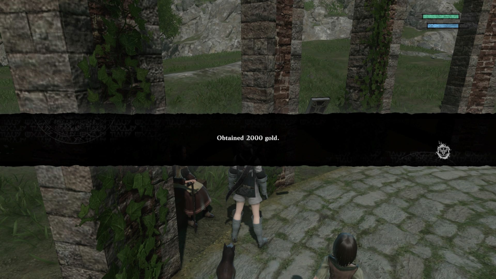 NieR Replicant How To Find Berries And Royal Fern