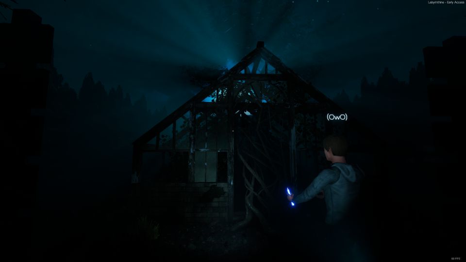 labyrinthine chapter 2 tips