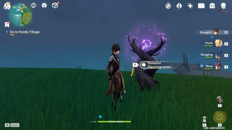 electroganum guide