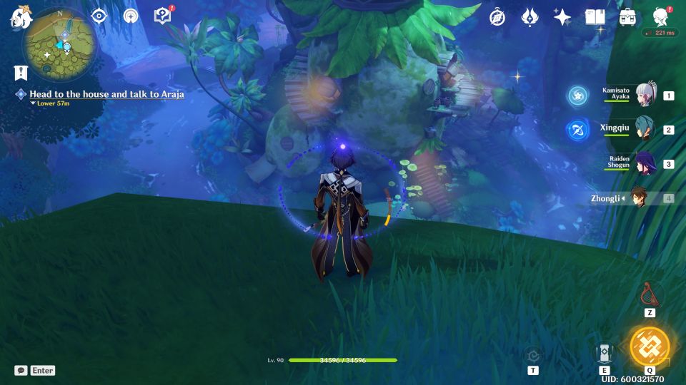 Genshin Impact: Dream Nursery where to go next