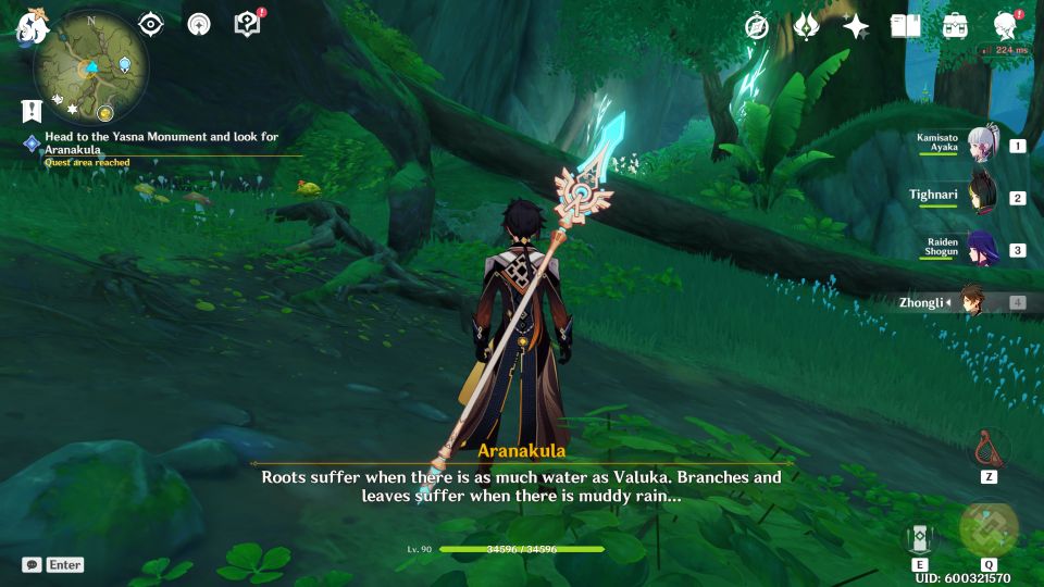 Genshin Impact: Memory Of Stone Quest guide
