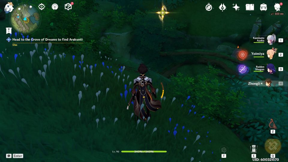 Genshin Impact: Slumbering Roots Quest tips