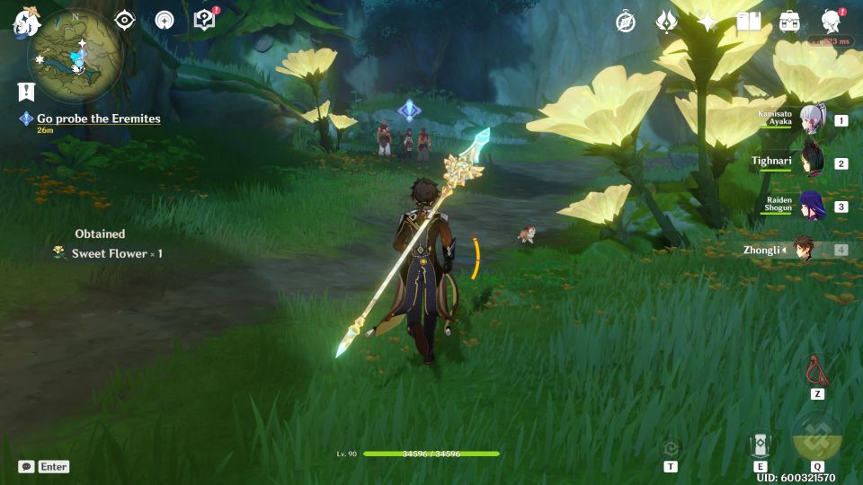 Genshin Impact: Starry Night Chapter Quest guide
