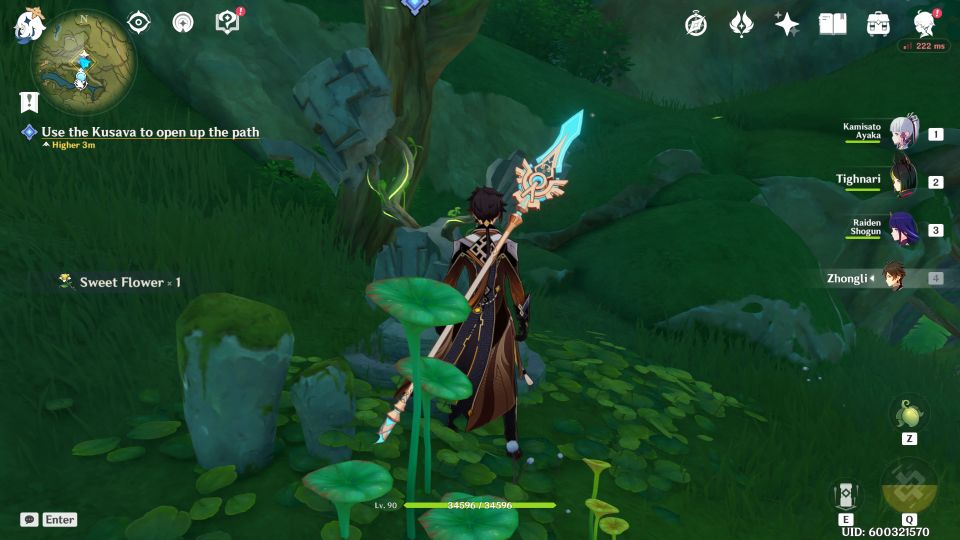 Genshin Impact: Starry Night Chapter Quest tips