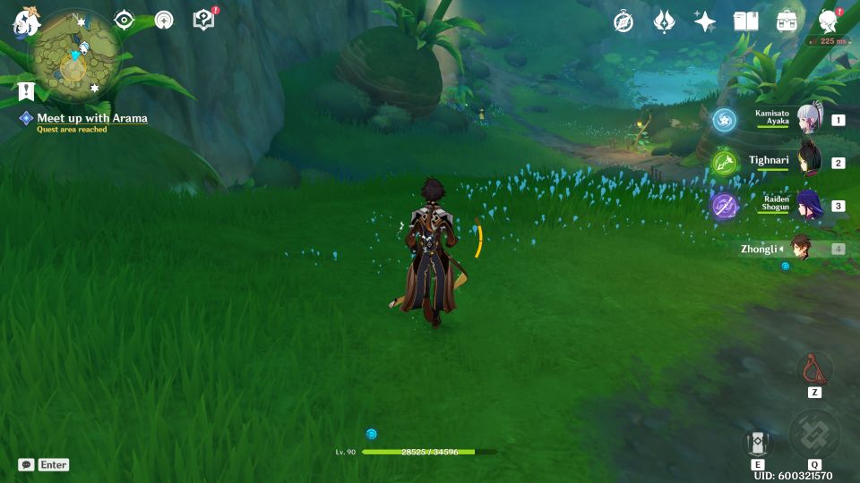 Genshin Impact: For Fruits, Seeds And Trees 