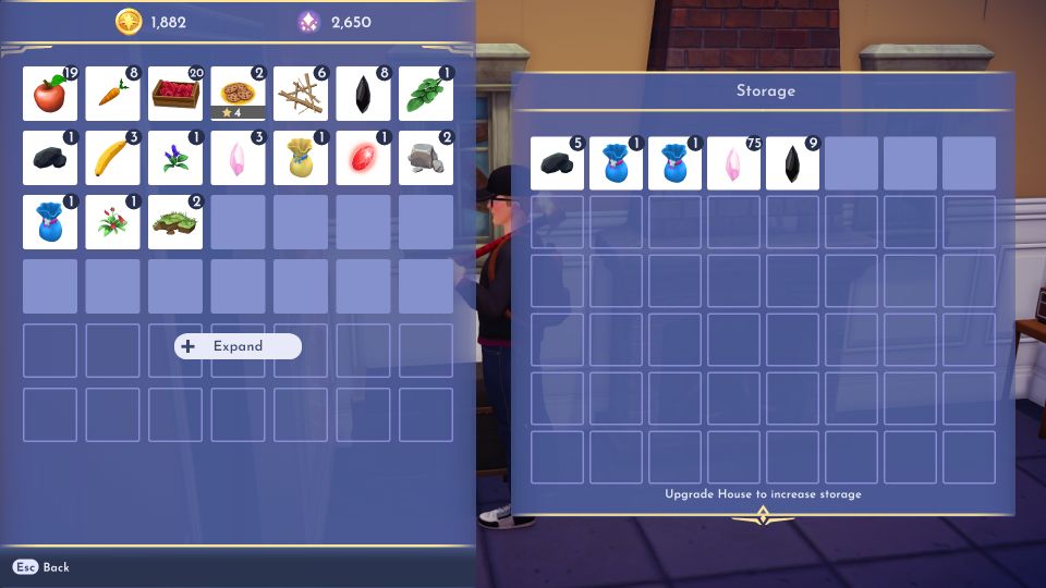 Disney Dreamlight Valley: How To Increase house Storage