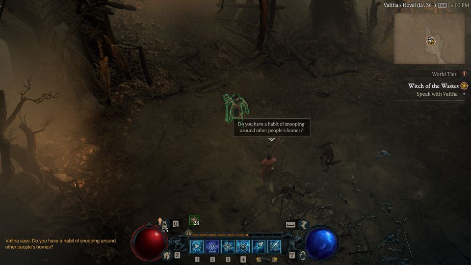 Diablo 4: Witch Of The Wastes