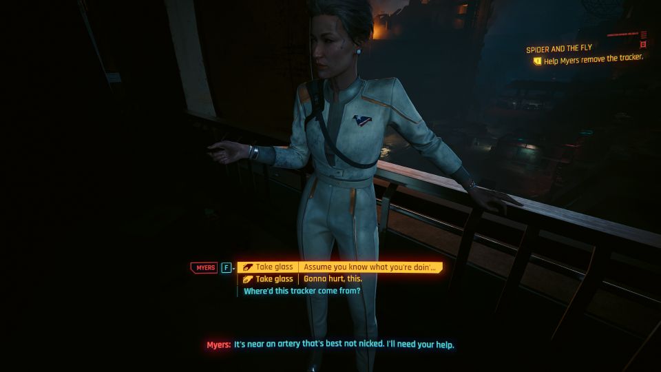 Cyberpunk 2077: Spider And The Fly Walkthrough
