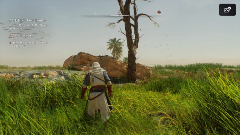 Assassin's Creed Mirage: Reap From The Ruins Enigma Location & Guide